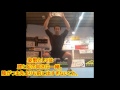 【銘苅メソッド】フットワーク偏　パワーポジション