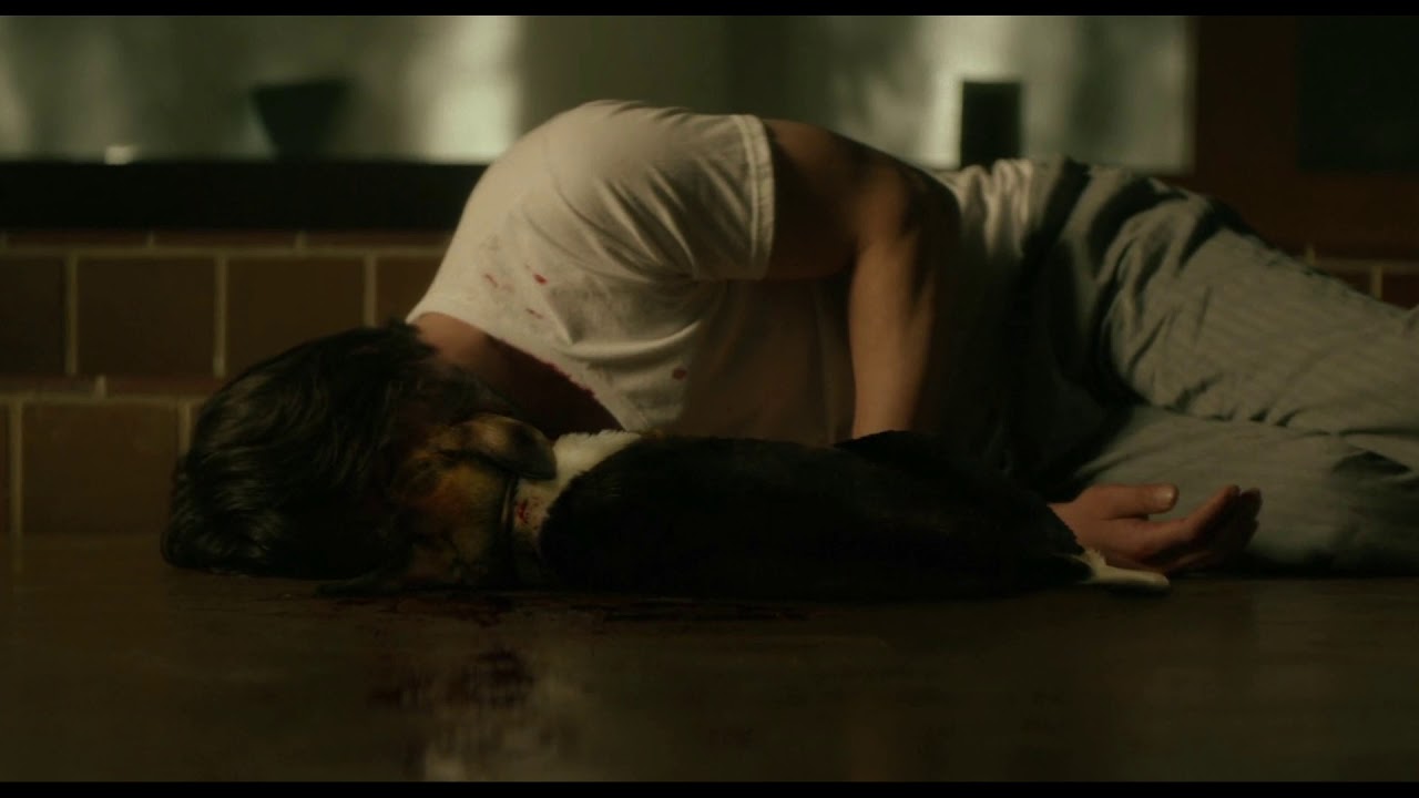 John Wick: Dog killed - YouTube