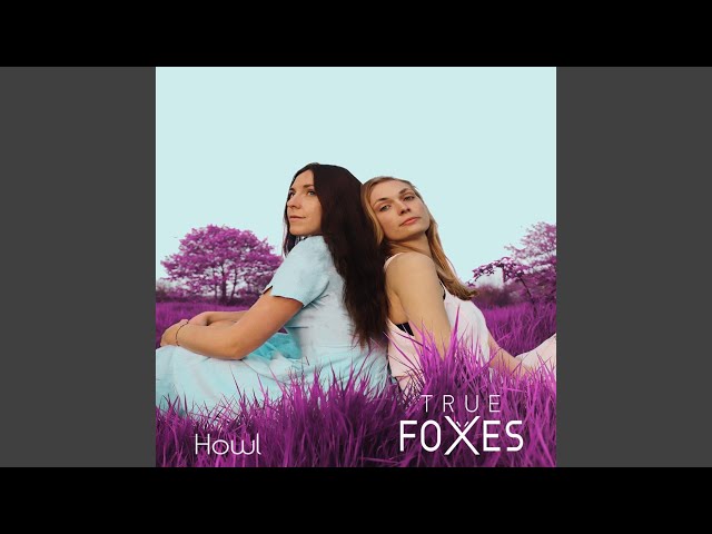 True Foxes - Leave The Light On