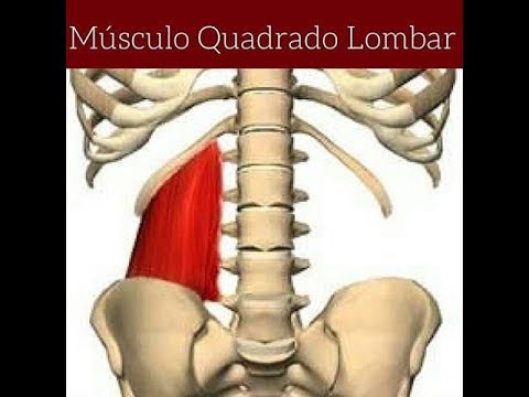 Liberação Miofascial do