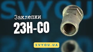 видео: 23H-CO Сталева напівшестигранна гайка-заклепка з малим потайним буртиком: фіксація без прокручування картинка: 23H-CO Сталева напівшестигранна гайка-заклепка з малим потайним буртиком: фіксація без прокручування