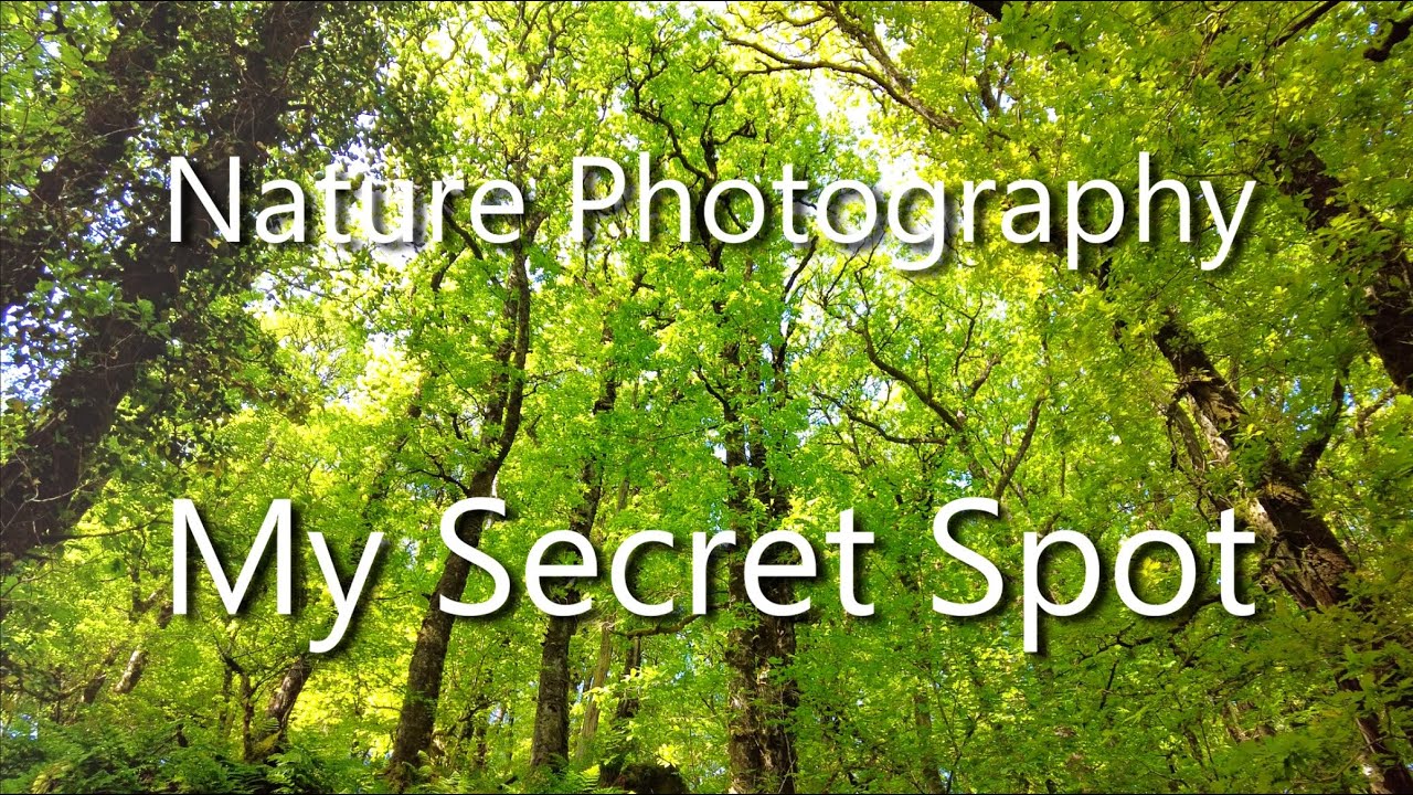 Nature Photography My Secret Spot - YouTube
