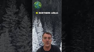 All About #ecosystems 15 - Boreal Forests aka Taiga #learn #environmentalscience