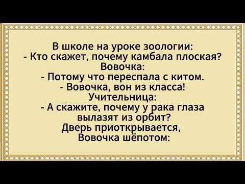 Медсестра Видит у Старика Огромный!? Сборник анекдотов. Юмор.