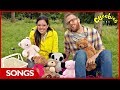 Cbeebies songs  my pet and me  4 minutes compilation