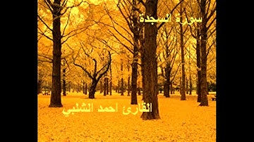 سورة السجدة للقارئ احمد الشلبي