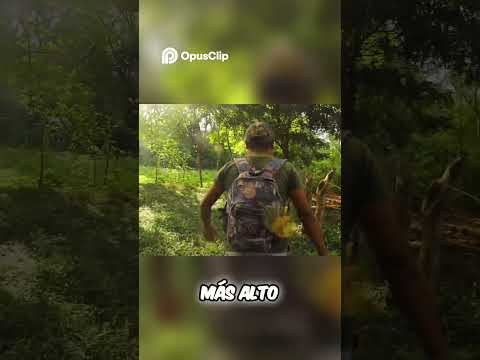 Aventura Volcán Maderas de Isla de Ometepe