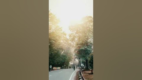 Before and after Lightroom Mobile Tutorial #shorts #lightroomediting #youtubeshorts #shortsvideos