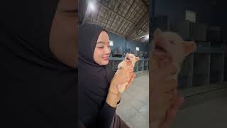 Ayang Beli Musang 10 Juta ?