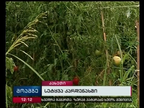 განადგურებული მოსავალი, გადახდილი სახურავები