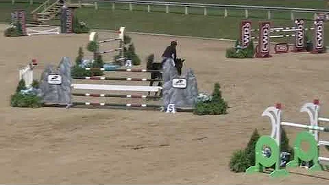 Video of BRILLIANT DU ROUET ridden by ROBERTO TERA...