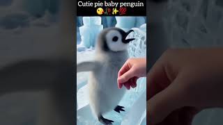 Cutie Pie Baby Penguin Viral