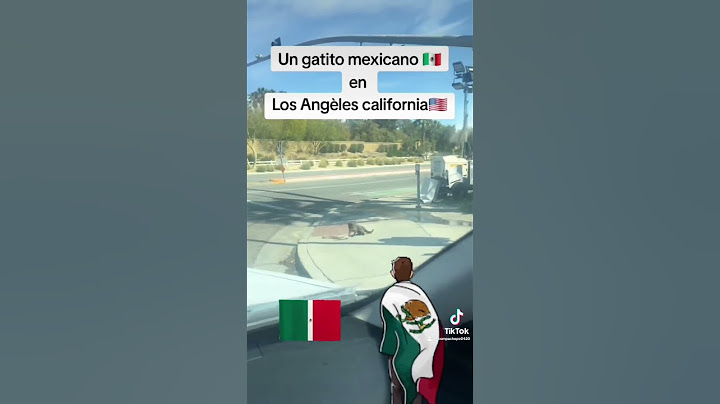 El 🐈‍⬛ michi 🐈‍⬛ Representando a todos los Méxicanos🇲🇽🌵🐍🐈👨🏻‍🌾#fypシ゚viralシfypシ゚ #méxico