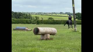 STUNNING ROR ELIGIBLE 17hh 9YO GELDING
