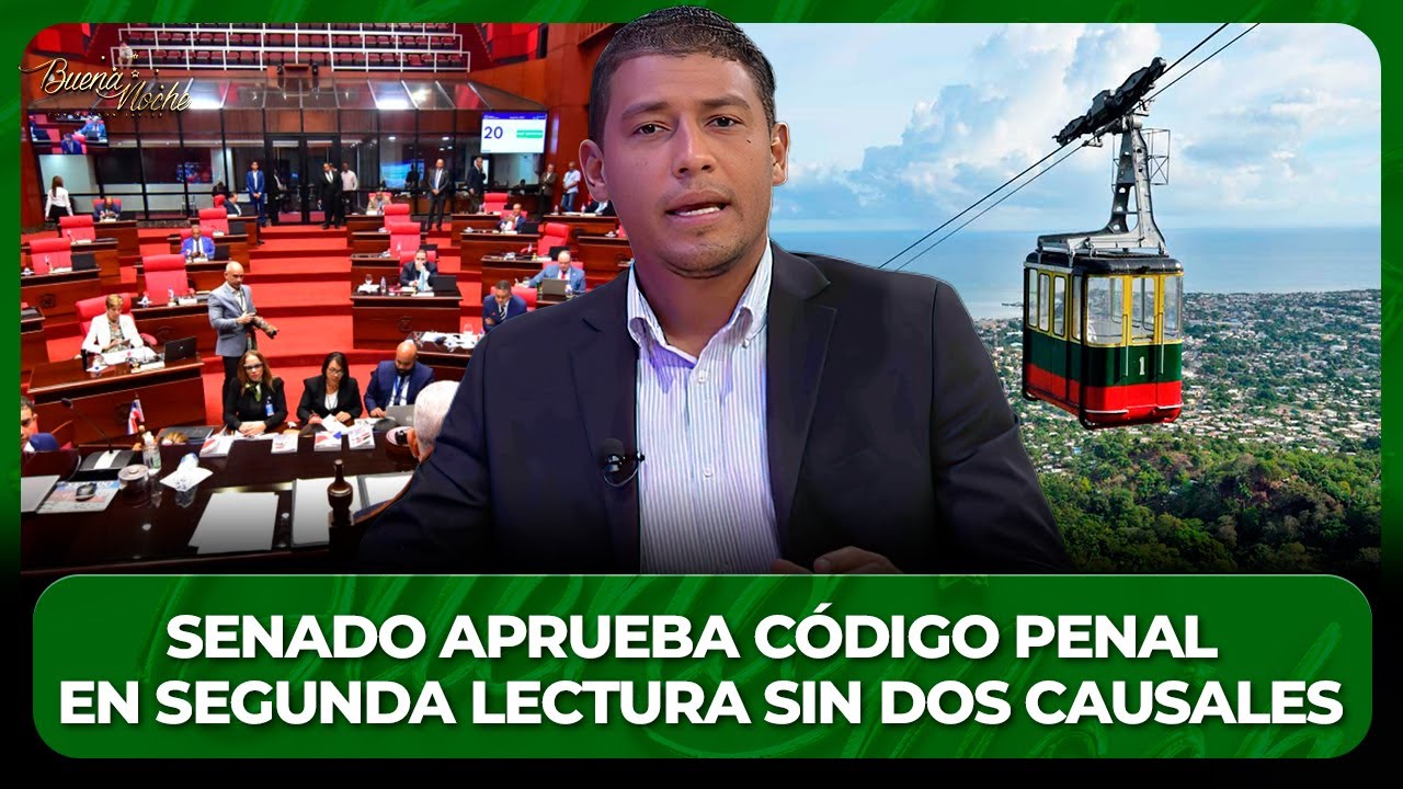SENADO APRUEBA CÓDIGO PENAL EN SEGUNDA LECTURA SIN DOS CAUSALES - LUIS ...
