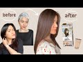 LIESE BUBBLE HAIR COLOR - Milk Tea Brown | DIY hair dye (review + tutorial 2021)