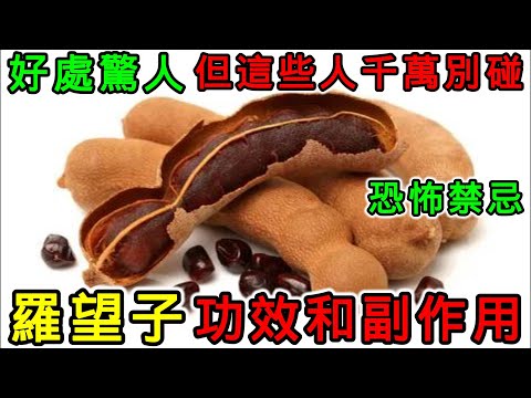羅望子的營養價值，羅望子的功效，羅望子的副作用，泰國羅望子怎麼吃？羅望子不能與哪些食物一起吃？羅望子什麼人不能吃？