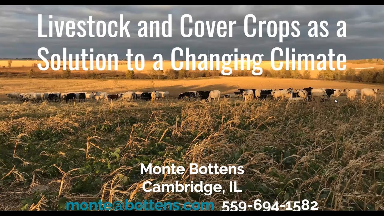 Livestock and Cover Crops as a Solution to a Changing Climate - Monte