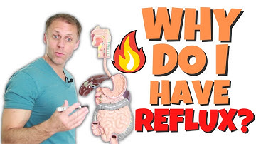 What’s Causing My Acid Reflux and GERD