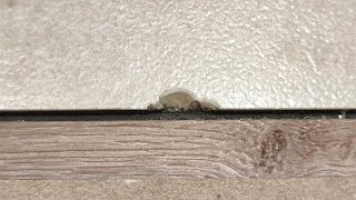 Only A Few Know This Repair Secret How To Perfectly Fix Chips On Tiles In 5 Minutes?