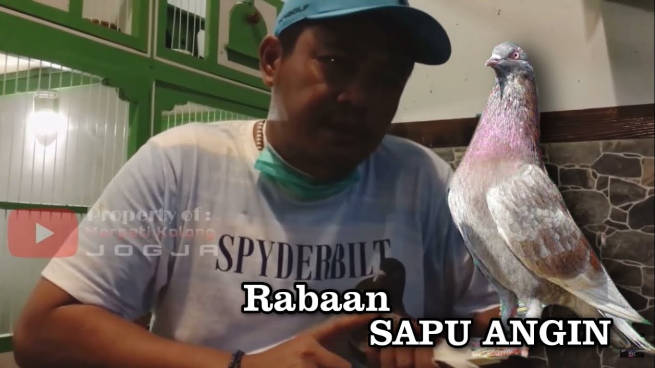 RABAAN MERPATI DARI PARUH SAMPAI KUKU THE LAGEND SAPU ANGIN - BARON