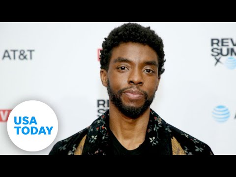'Black Panther' star Chadwick Boseman dies of cancer at 43 | USA TODAY