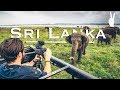 Awesome Elephant Encounter on Safari in Sri Lanka