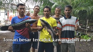 CASTING TOMAN BESAR KEDULUAN KAWAN