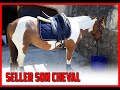 Galops 1  2 seller son cheval