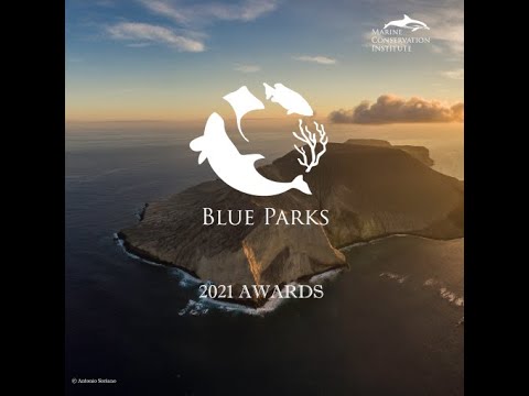 Kisite Mpunguti Marine Park Wins the 2021 Prestigious Blue Park Award ...