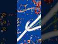 Wormszone Io snake game slither snake game #wormszone #shortsfeed #slithersnake #snakegame #shorts