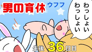 【男性の育休】術後1週間後の通院【育児漫画】生後36日目