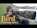 Photographing birds in flight | BIRD PHOTOGRAPHY - common tern