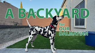 A Backyard for Our Dalmatian