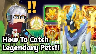 How To Catch Legendary Pets Using Super Ball In Trainers Arena!! [Trainers Arena // Blockman Go]