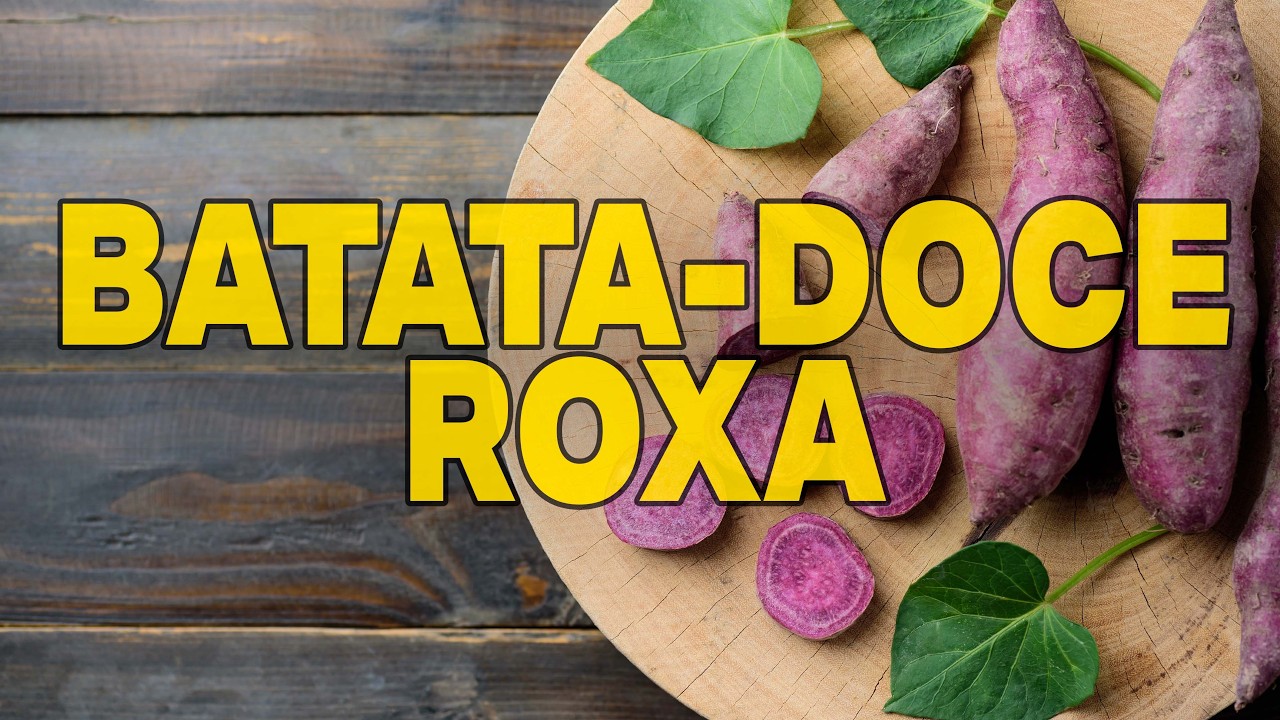 QUEM TEM DIABETES PODE COMER BATATA DOCE ROXA?