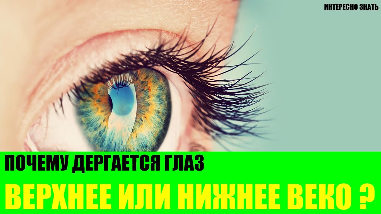 Почему дергается глаз - верхнее или нижнее веко?