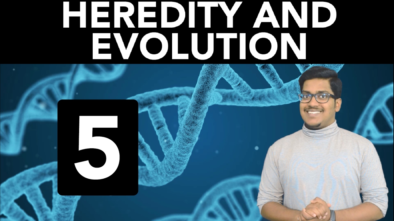 Biology: Heredity and Evolution (Part 5)