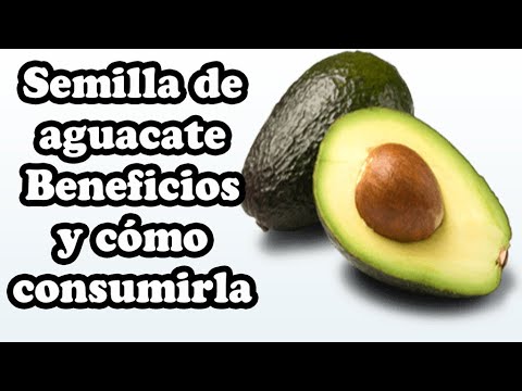 Semilla de aguacate para adelgazar