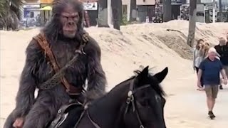 Apes on Horses Stroll Venice Beach To Promote Kingdom of the Planet of the Apes