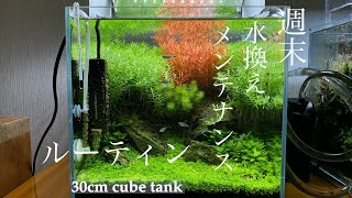 Aquarist Weekend Routine