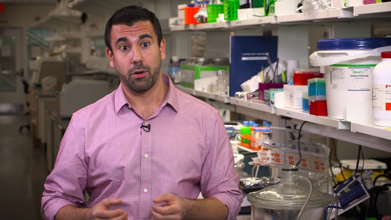 Carnegie Mellon University's Adam Feinberg Discusses Human Tissue