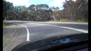 skyline pig test video.avi