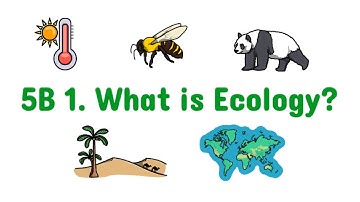 5B 1. What is Ecology? | Edexcel IAL Biology | Unit 4