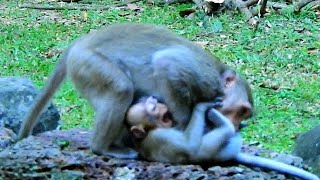 Help me     mum      !!!