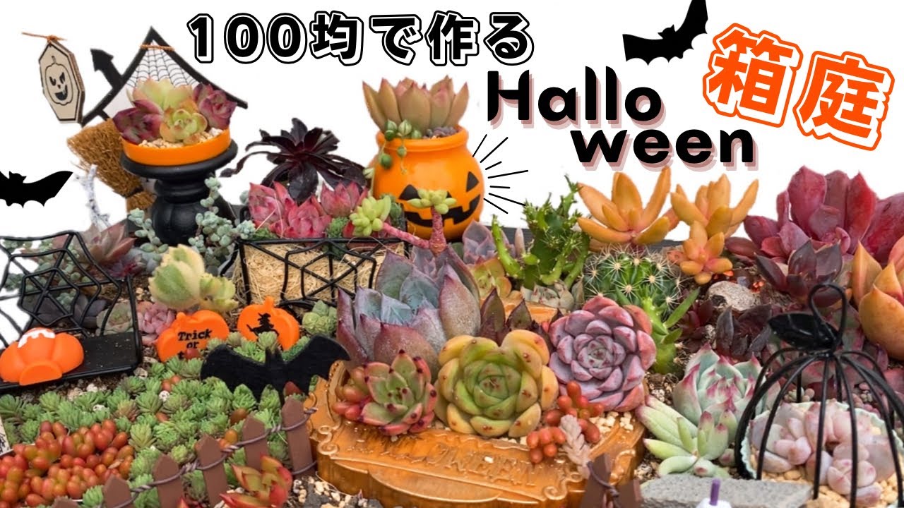 #155 100均セリアの小物と多肉植物でハロウィンの箱庭作ってみた Halloween's miniature garden【 エケベリア 】【 ミニチュアガーデン 】