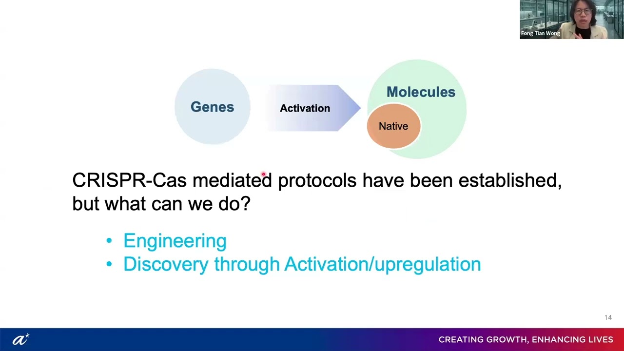 Gene to Chemicals: An Adventure of Molecular Engineering Across Scales
