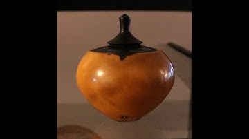 Tagua Nut Lidded Container W/Threads  Sam Angelo