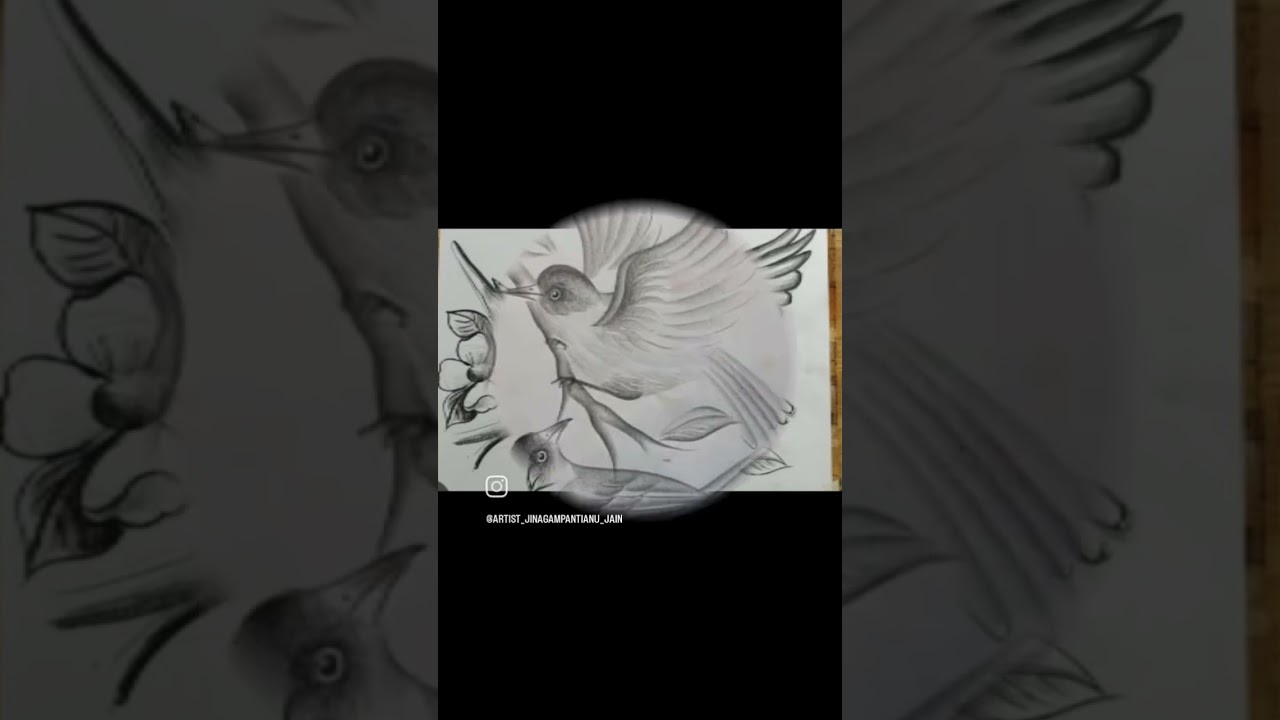 easy how to draw birds . pencil sketch realistic Bird. 