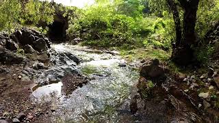 The most beautiful landscape, El Amparo, Etzatlan, Jalisco, Mexico, Joorge Kardenas